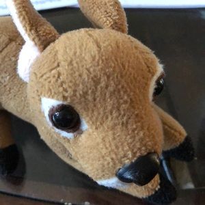 Meet your Posher, Kamruz